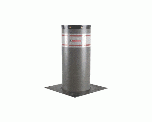 AAPRIPASS F 220